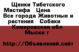 Щенки Тибетского Мастифа › Цена ­ 60 000 - Все города Животные и растения » Собаки   . Кемеровская обл.,Мыски г.